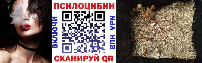 Галлюциногенные грибы мухоморы  Вытегра 